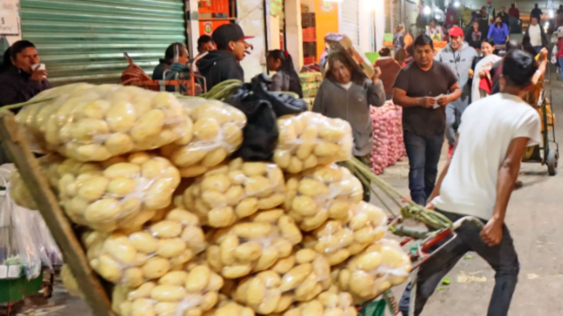 Diablero, un trabajo duro y de los más ingratos en la Central de Abasto  2 